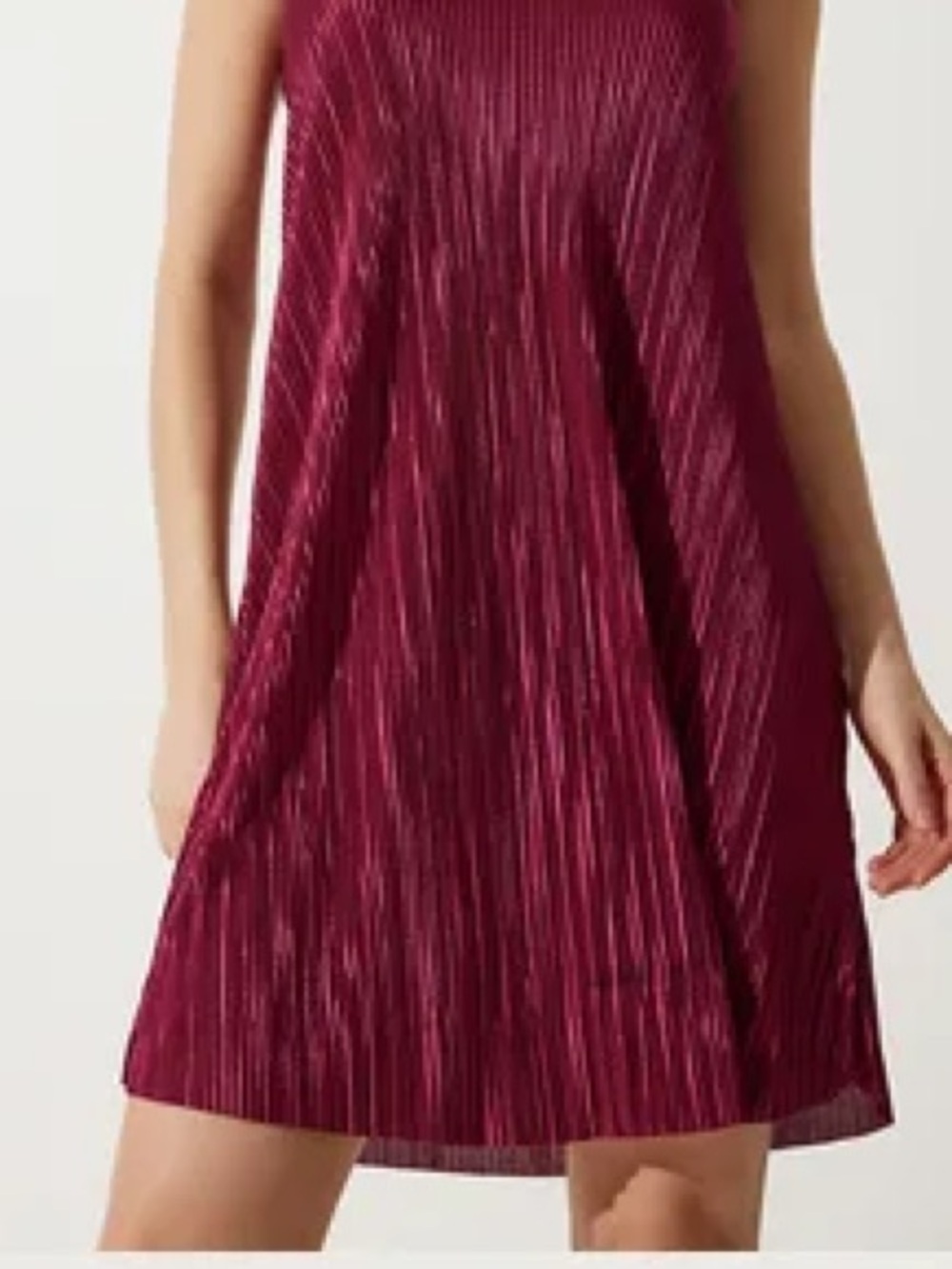 Francesca's Collections Wine Red Pleated Mini Dress